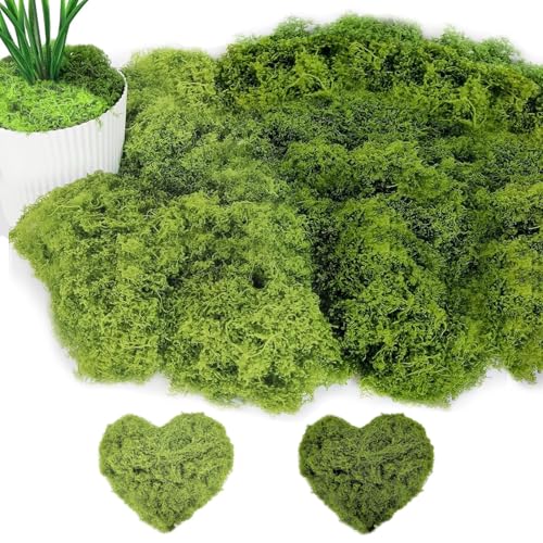 JOZMMZEOOA Kunstmoos zum Dekorieren,100g Kunstmoos in 2 Versch Künstliches Moos Kunst Islandmoos Fake Moos Bastelmoos Islandmoos Deko Simulation Moss,für Moosbild Basteln Deko (Dunkelgrün+Hellgrün) C von JOZMMZEOOA