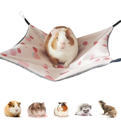 JOZMMZEOOA Meerschweinchen Hängematte Erdbeere Meerschweinchen Zubehoer Eisseide 34 x 34CM Ratten Zubehör Verstellbar Ratten für Käfig Doppelseitiges Hamster Sommerhängematte für Hamster Chinchilla JOZMMZEOOA Meerschweinchen Hängematte Erdbeere Meerschweinchen Zubehoer Eisseide 34 x 34CM Ratten Zubehör Verstellbar Ratten für Käfig Doppelseitiges Hamster Sommerhängematte für Hamster Chinchilla von JOZMMZEOOA