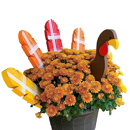 JPSDOWS Dekoration für Thanksgiving-Truthahn, Gartendekoration aus Truthahnholz | Tischläufer für Thanksgiving-Truthahn, Deko-Einsatz für Pflanzkübel aus Truthahn von JPSDOWS