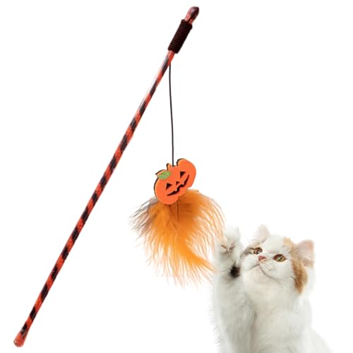 JPSDOWS Katzenangel Spielzeug,Halloween Spielangel für Kitten - Trainingsangel Mit Kürbisgeist Zur Jagdsimulation Für Bewegung Drinnen Und Draußen JPSDOWS Katzenangel Spielzeug,Halloween Spielangel für Kitten - Trainingsangel Mit Kürbisgeist Zur Jagdsimulation Für Bewegung Drinnen Und Draußen von JPSDOWS