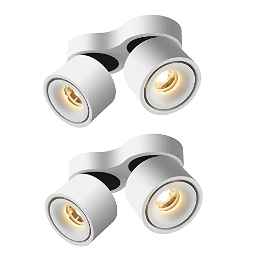 2 Pack 4 Light Indoor 10W Double Head Spotlights 220°Adjustable Ceiling Spots Downlight/Surface Mounted COB Lighting Aluminum Wall Spot Light [Energy Class A+] von JPXXFM
