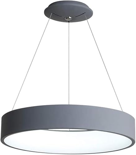 JPXXFM Moderner Kronleuchter 1-kreisförmiges Licht 36W einstellbare hängende Acrylleuchte, Wandländerleuchten JPXXFM Moderner Kronleuchter 1-kreisförmiges Licht 36W einstellbare hängende Acrylleuchte, Wandländerleuchten von JPXXFM