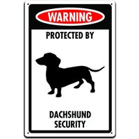 Zinn-Zeichen Für Haustür Dekor - Dieses Zeichen Hundebesitzer Eingang Oder Zaun 12 X 8In. Warnung Geschützt Durch Dackel Sicherheit von JPsParcels