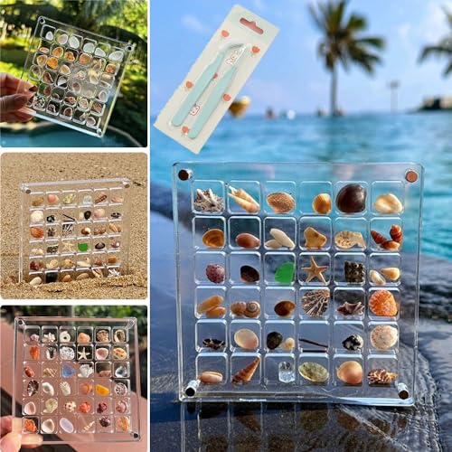 Magnetische Muschel-Displaybox aus Acryl, Acrylic Magnetic Seashell Display Box, 36 Gitter Transparent Acryl Muschel Aufbewahrungsbox Ausstellungsbox, Diamant Edelstein Schmuck Organizer Box von JQUAL