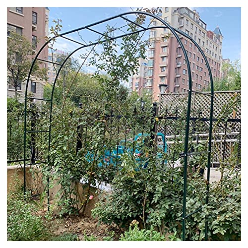JRPT Torbogen für Kletterpflanzen und Rosen,Metall Gartenbogen Mit Abnehmbarer Basis/Schwarz / W3m×H2.2m von JRPT