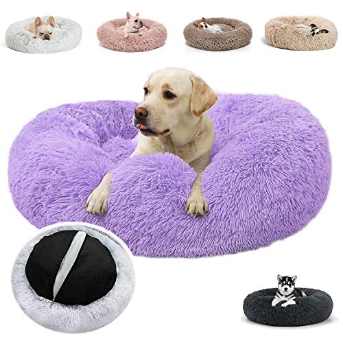 JRUI Hundebett Orthopädisch für Mittelgroße Hunde, Waschbar Katzenbett Hundekissen, Rund Plüsch Hundesofa Hundekörbchen Katzenkissen Flauschig- lila Ø 60 cm JRUI Hundebett Orthopädisch für Mittelgroße Hunde, Waschbar Katzenbett Hundekissen, Rund Plüsch Hundesofa Hundekörbchen Katzenkissen Flauschig- lila Ø 60 cm von JRUI