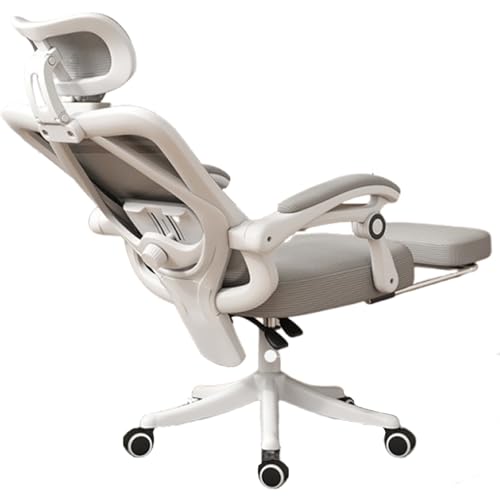 JS Ellie EIN Gaming-Stuhl mit Verstellbarer Rückenlehne und Latexschaumkissen, Kopfstütze, Armlehnen, Fußstütze und Lordosenstütze. Er eignet Sich zum Arbeiten, Lernen und Spielen Gray von JS Ellie