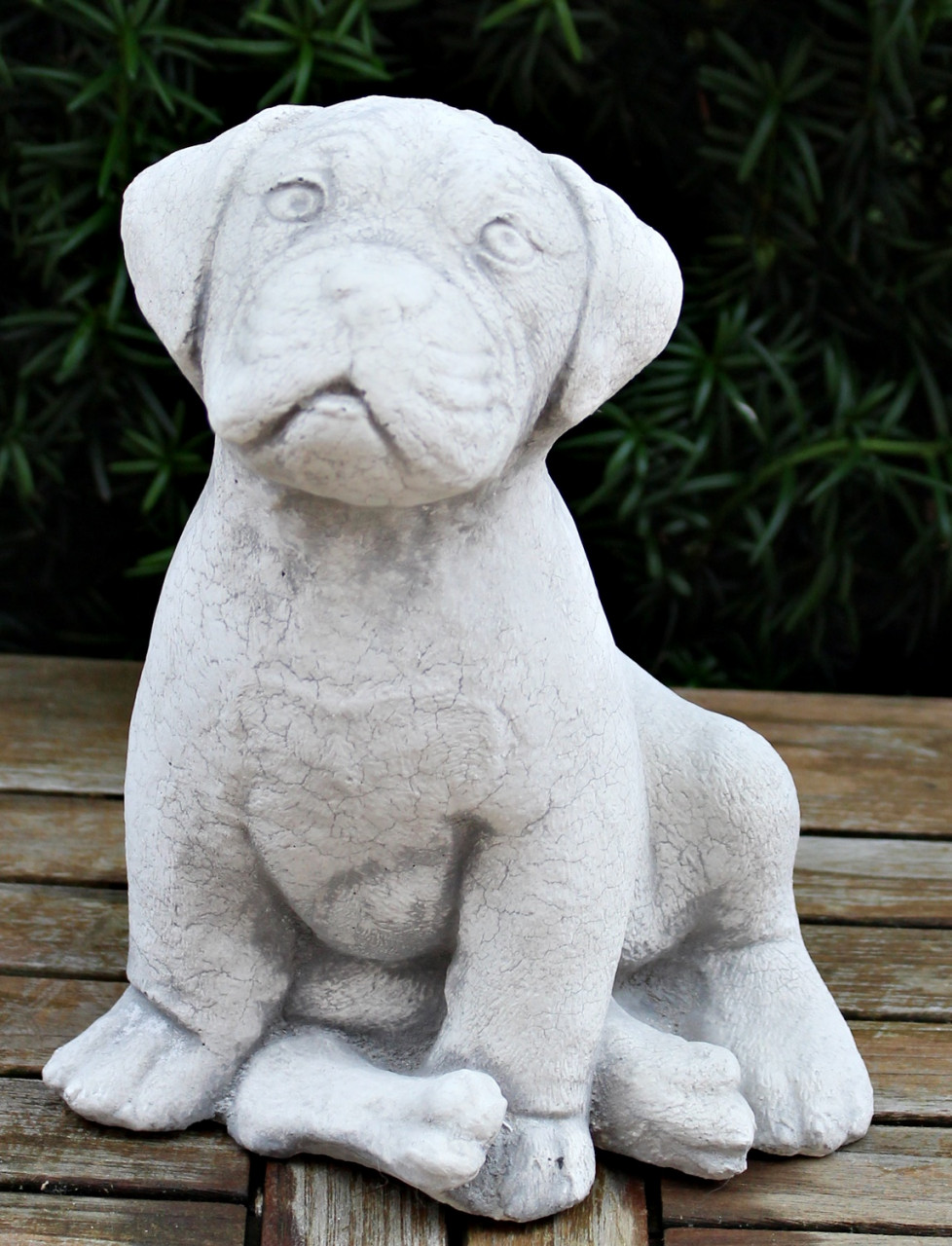 Beton Figur Boxer Welpe sitzend Hundefigur H 23 cm Dekofigur und Gartenfigur von JS GartenDeko