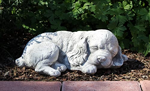 Beton Figur Hund Cocker Spaniel Welpe L 33 cm Hundefigur liegend und schlafend Gartenfigur von JS Garten Deko