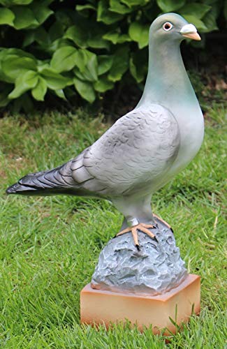Deko Figur Taube stehend auf Sockel Vogelfigur Gartenfigur Gartendeko aus Kunstharz H 36 cm x L 25 cm von JS Garten Deko