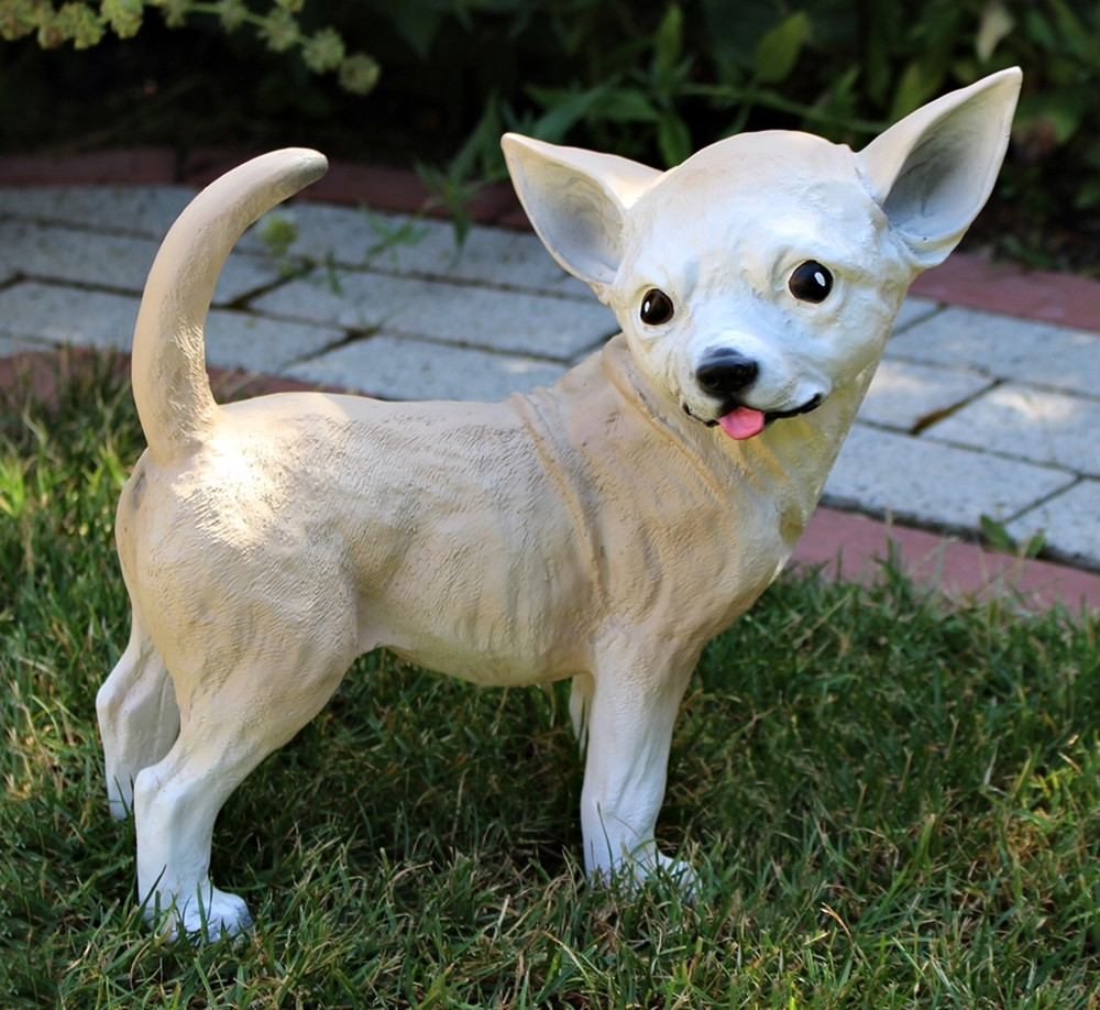 Dekorationsfigur Hund Chihuahua Höhe 29 cm Deko Figur aus Kunstharz von JS GartenDeko