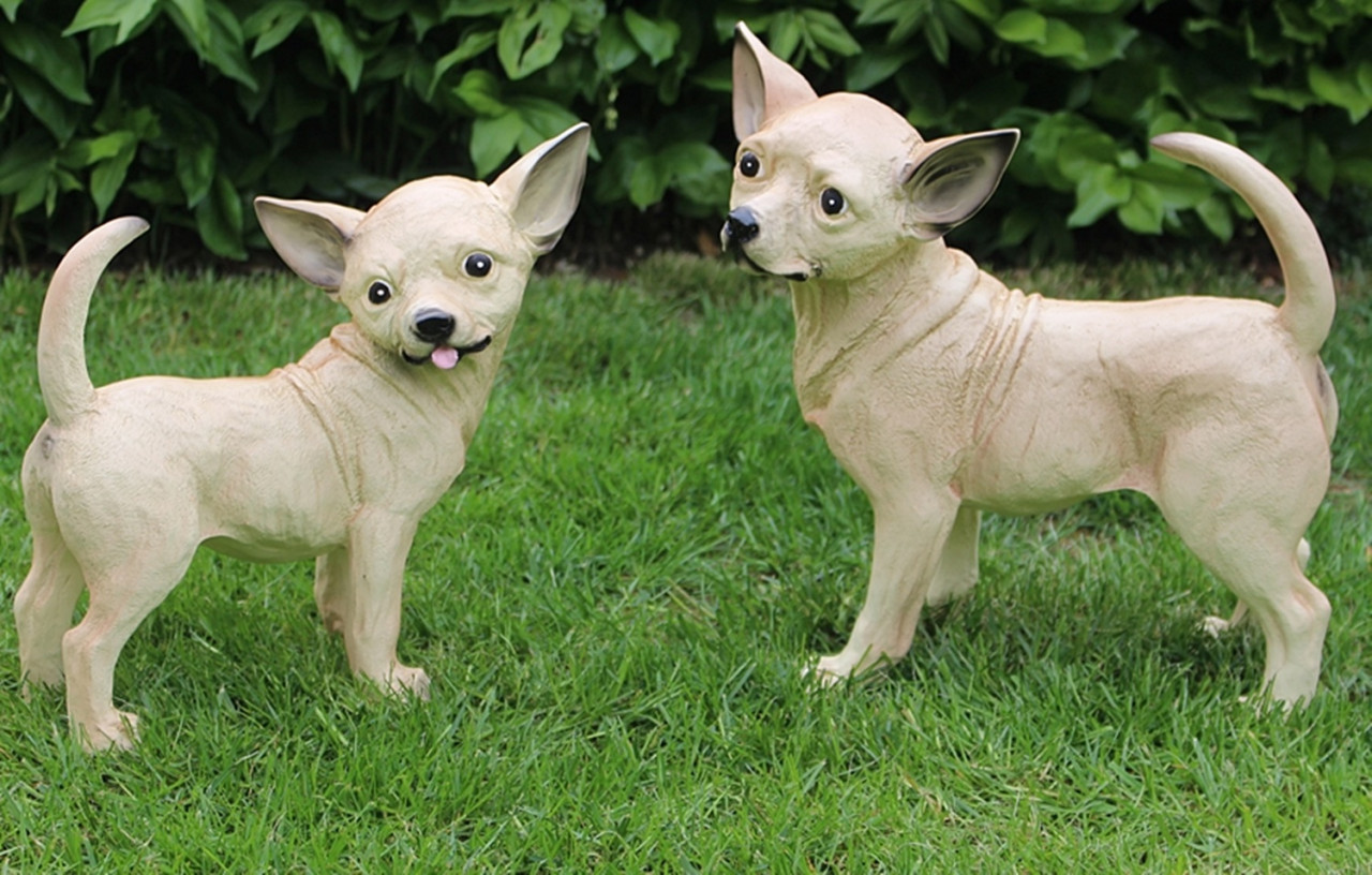 Dekorationsfigur Hund Chihuahua als Satz 2 Stück Höhe 34/29 cm Deko Figur aus Kunstharz von JS GartenDeko