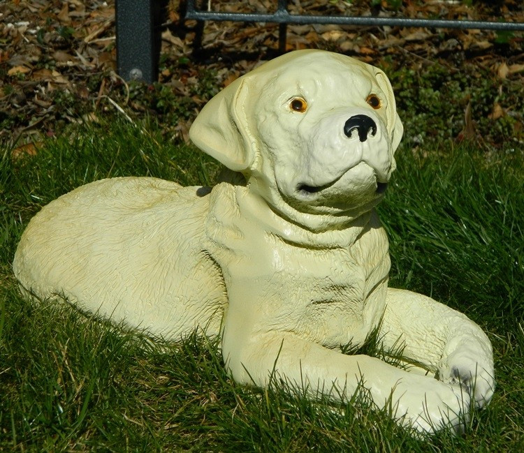 Dekorationsfigur Hund Labrador Retriever Welpe H 21 cm Dekofigur aus Kunstharz Dekorationsfigur Hund Labrador Retriever Welpe H 21 cm Dekofigur aus Kunstharz von JS GartenDeko