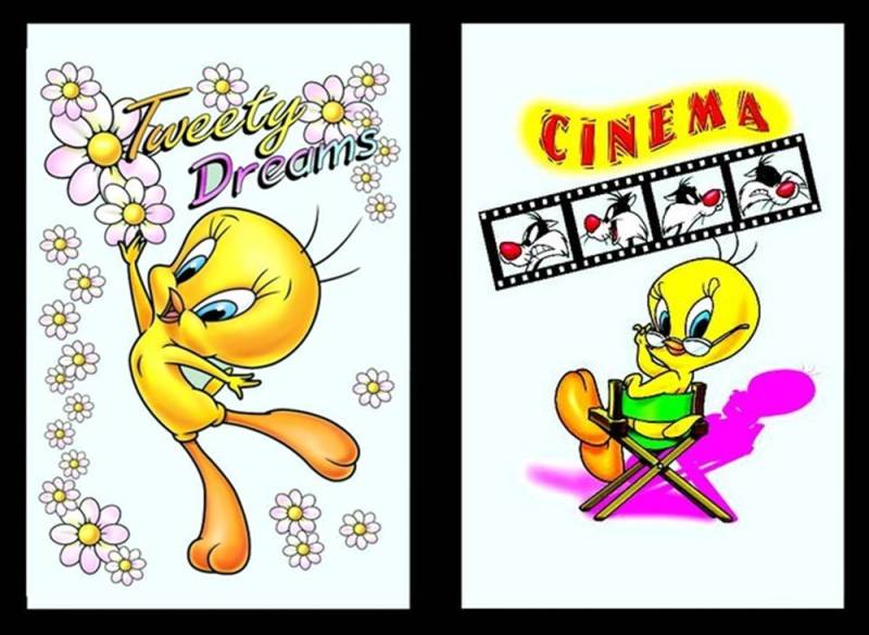Set 2 Spiegelbilder Looney Tunes Tweety Deko Bild 20x30 cm Wandbilder Hinterglasdruck mit Rahmen von JS GartenDeko