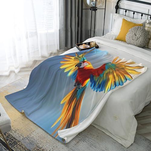 JSCWDET Cartoon Tiere Kuscheldecke Flanell Decke,Kinderdecke 3D Luftaufnahmen Papagei Flauschige Plüsch Decke,Wohndecke Fleecedecke TV Decken für Bett Sofa 70 × 100 cm von JSCWDET
