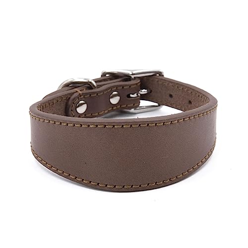 JSGHGDF Elegante Hunde Leder Halsband Weiche Polster Breite Kragen Verstellbare Welpenkragen Hunde Lieferungen Haustier Supplies Accessoires Kragen von JSGHGDF