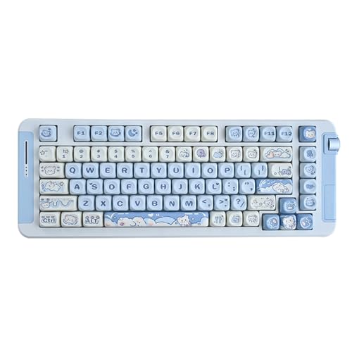 JSGHGDF 144Keys Farbstoff-Sublimationstastenkappen-Set für 61879698104108 MX Switching Mechanische Tastaturen JSGHGDF 144Keys Farbstoff-Sublimationstastenkappen-Set für 61879698104108 MX Switching Mechanische Tastaturen von JSGHGDF