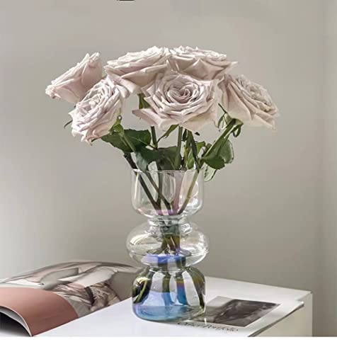 Ins Moderne Vasen, Hydroponische Glasblumenvase, Tulpenvase Glasblasenvase für Blumen, Dreischichtige Glasvase für Dekoration, Geometrische Glasvase für Haus/Büro/Hochzeit/Party（Schillernd Klar） von JSPYFITS