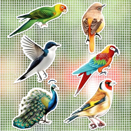 JSRQT 12 Stück Fliegengitter Magnete Dekorative Kolibri Pfau Fliegengitter Reparatur Magnet Doppelseitige Fliegengittertüren Magnete für Durchlaufschutz Reparaturset Fliegengitter Aufkleber von JSRQT