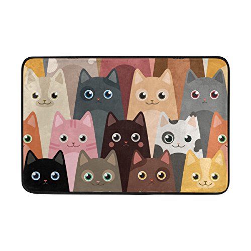 Fußmatte für den Innen- und Außenbereich Schmutzfangmatte Katze Türmatte Waschbar für Garten/Büro/Küche/Wohnzimmer/Katzentür, mit Rutschfester Unterseite,16X24 inch von JSTEL