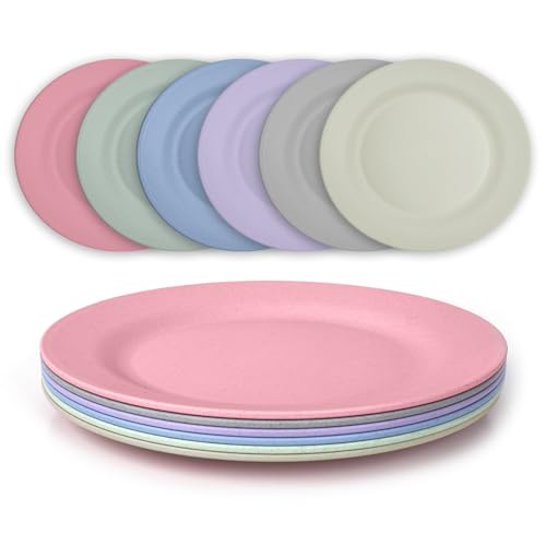 JSYMJSY Teller Set, 6Teilig 25cm Speiseteller Bruchfest, Plastik Essteller Mehrweg, Camping Teller Anti-Fallen, Leicht, Kunststoff BPA-Frei Mikrowellenfest Spülmaschinenfest, Bunt von JSYMJSY