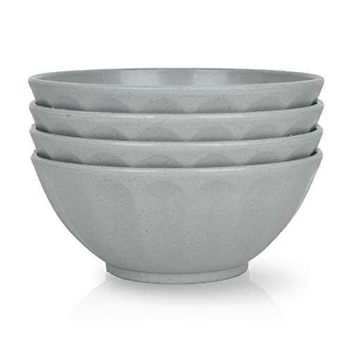 JSYMJSY Schalen Set Bruchfest, 4Teilig Groß Müslischalen Plastik, 16cm/750ml Schüssel Kunststoff für Müsli Suppen Salat Nudel Snack Mikrowellenfest Spülmaschinenfest, Grau von JSYMJSY