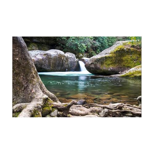 JTKSSCS Aquarium RüCkwand Aquarium Hintergrund Aufkleber Dekorative Poster Fisch Tank Dekoration Selbst Klebe Tapete Hintergrund(50x100cm) von JTKSSCS