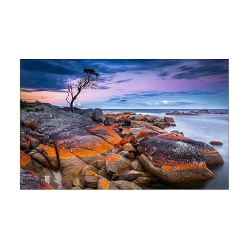 JTKSSCS Aquarium RüCkwand Aquarium Hintergrund Aufkleber Poster Fisch Tank Dekoration Selbstklebende Tapete Hintergrund(40x80cm) von JTKSSCS
