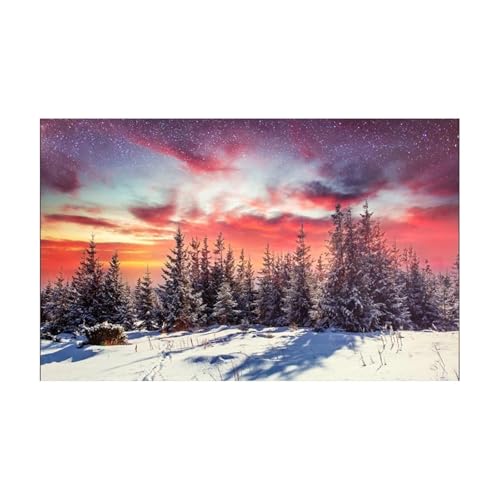 JTKSSCS Aquarium RüCkwand Aquarium Hintergrund Aufkleber Winter Aurora Poster Fisch Tank Dekoration Selbst Klebe Tapete Hintergrund(40x80cm) von JTKSSCS