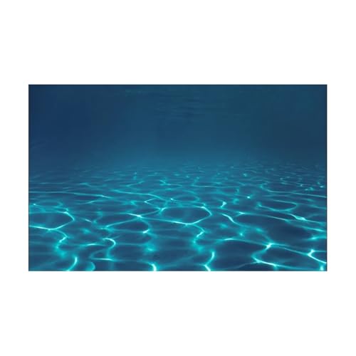 JTKSSCS Aquarium RüCkwand Blaue Meereslandschaft Aquarium Aufkleber Hintergrund Poster Felsstein Selbstklebende Fischtank Tapete Hintergrund(50x80cm) von JTKSSCS