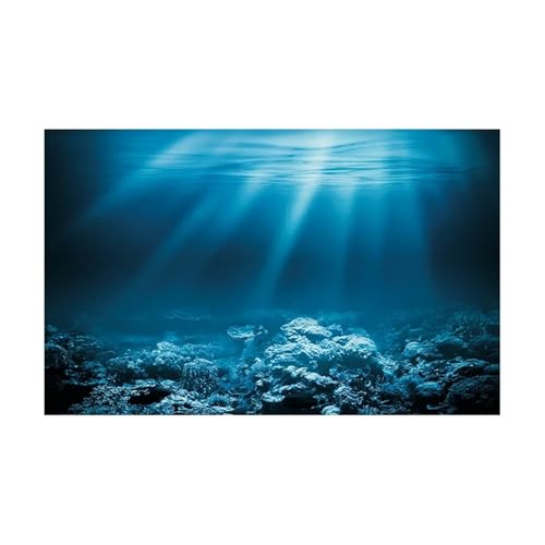 JTKSSCS Aquarium RüCkwand Fisch Tank Hintergrund Aufkleber Unterwasser Landschaft Tapete Aquarium Hintergrund Dekorationen PVC(BLUE2,40x80cm) von JTKSSCS