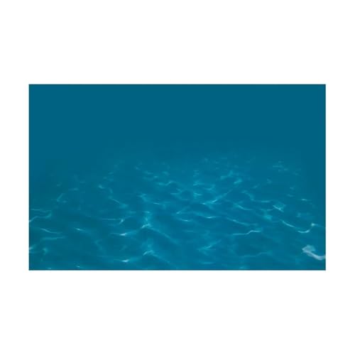 JTKSSCS Aquarium RüCkwand Fisch Tank Hintergrund Aufkleber Unterwasser Landschaft Tapete Aquarium Hintergrund Dekorationen PVC(BLUE4,50x100cm) von JTKSSCS