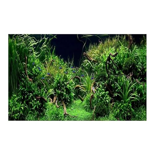 JTKSSCS Aquarium Rückwandfolie Wald-Aufkleber, Aquarium-Hintergrund, Ornament-Poster, Wald-Aquarium-Landschaft, selbstklebendes Aquarium-Trägerpapier(White,40x80cm) von JTKSSCS