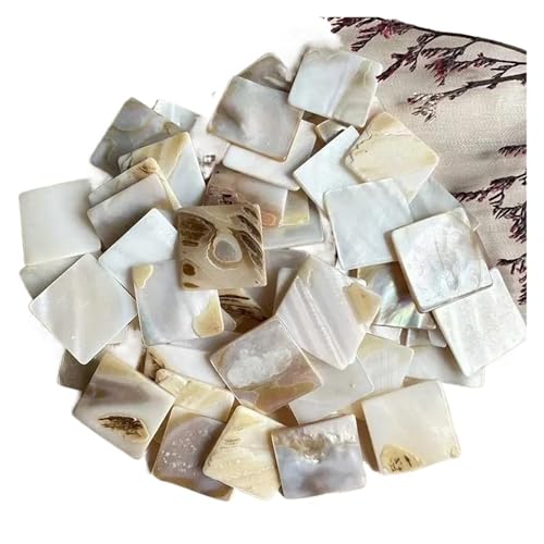 Mosaiksteine 100g Rechteck Perlmutt Mosaik Fliesen Shell Quadratische Stücke for Home Dekoration Handwerk von JTKSSCS