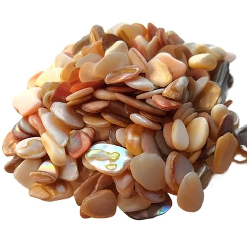 Mosaiksteine 50g Unregelmäßige Form Bunte Natürliche Shell Mosaik Partikel DIY Handgemachte Kreative Wand Dekoration Zubehör Aufkleber(8) von JTKSSCS