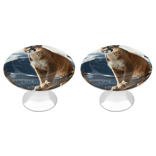 JTREHY The Drawer Handle Panther Mountain Lion Printed Stainless Steel Drawer Handles,Round Drawer Handles with Screws for Kitchen Cupboard Furniture Chest Door Dresser Bathroom von JTREHY