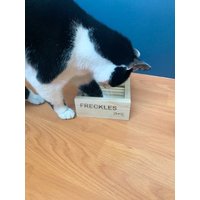 Leckerli Puzzle Katze Aus Holz Interaktiver Futterspender von JTWoodworks
