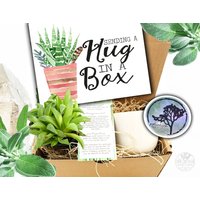 Ich Sende Dir Eine Umarmung in Einer Box - Sukkulentengeschenk Baue/Vermisse Dich Denke An Trauergeschenk Verlust Des Haustiers Beileid Sympathie Ich Sende Dir Eine Umarmung in Einer Box - Sukkulentengeschenk Baue/Vermisse Dich Denke An Trauergeschenk Verlust Des Haustiers Beileid Sympathie von JTrockandlotus