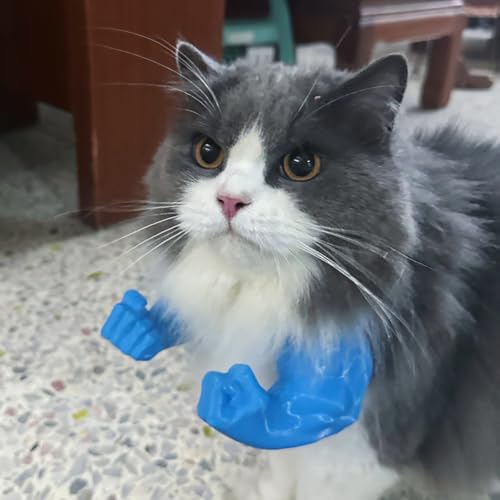 Katze Muskelarm, Katzen-Nackenarm mit Muskeln for Haustier-Cosplay, Katzenkostümzubehör, Lustiges Halloween-Kostüm-Requisit for Partybedarf (Blau) von JUCHRZEY