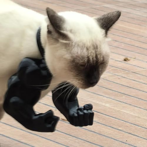 Katzen Muskelarm, Katzen Halsarm mit Muskeln for Haustier-Cosplay, Katzen Kostümzubehör, Lustiges Halloween-Kostüm-Accessoire for Partybedarf (Schwarz) von JUCHRZEY