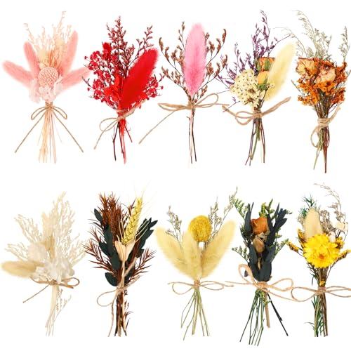 JULBEAR Mini Trockenblumen, 10 Bündel Trockenblumenstrauß Klein Mini Getrocknete Blumenstrauß DIY Trockenblumen für Kunst Handwerk Tägliche Heimdekoration Hochzeitsdekoration von JULBEAR