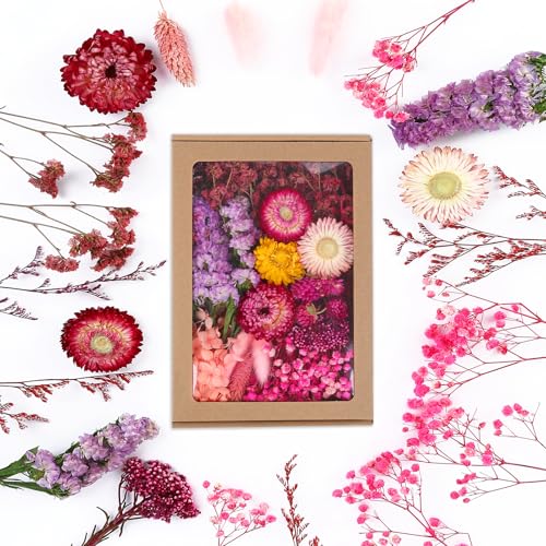 JULBEAR Getrocknete Blumen, Trockenblumen zum Basteln Klein Trockenblumen Deko Rosa Trockenblumen mit Papierbox Dried Flowers für Heimwerken Harz Scrapbooking Karten Heimdekoration von JULBEAR