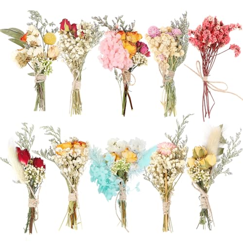 JULBEAR Trockenblumenstrauß Klein, 10 Bündel Mini Trockenblumen Mini Getrocknete Blumenstrauß DIY Trockenblumen für Tägliche Heimdekoration Kunst Handwerk Hochzeitsdekoration von JULBEAR