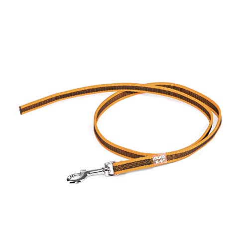 IDC Color & Gray gumierte Leine, 14 mm x 1 m ohne Schlaufe, Orange-Grau IDC Color & Gray gumierte Leine, 14 mm x 1 m ohne Schlaufe, Orange-Grau von JULIUS K-9