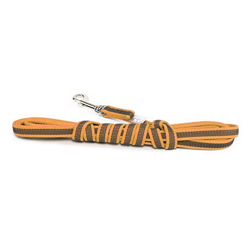 IDC Color & Gray gumierte Leine, 14 mm x 3 m mit Schlaufe, Orange-Grau von JULIUS K-9