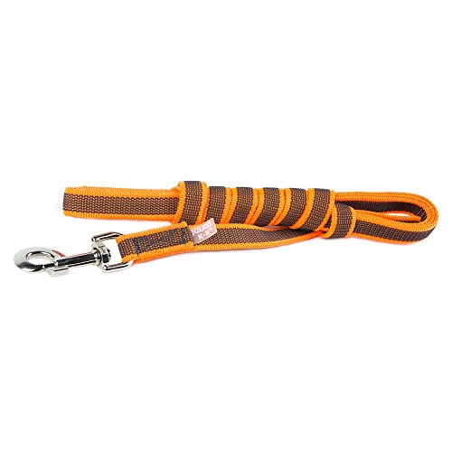 IDC Color & Gray gumierte Leine, 20 mm x 5 m mit Schlaufe, Orange-Grau von JULIUS K-9
