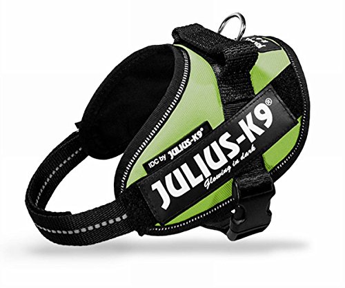 Julius K9 16IDC-KW-MM IDC-Powergeschirr mit Logofeld, mini kiwi grün von JULIUS K-9