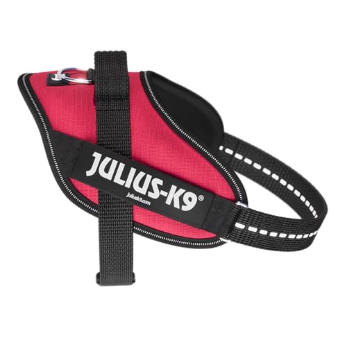 IDC Powergeschirr, S, Viva Magenta - Reflektierendes Hundegeschirr mit Logo-Feld, verstellbar, atmungsaktiv, Bewegungsfreiheit, Oeko-TEX Zertifiziert, für kleine, mittlere & große Hunde IDC Powergeschirr, S, Viva Magenta - Reflektierendes Hundegeschirr mit Logo-Feld, verstellbar, atmungsaktiv, Bewegungsfreiheit, Oeko-TEX Zertifiziert, für kleine, mittlere & große Hunde von JULIUS K-9