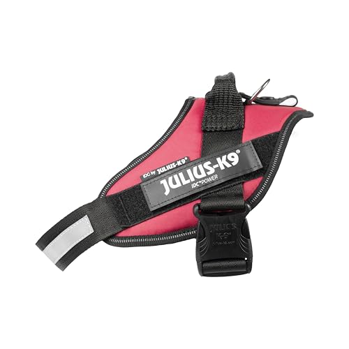 IDC Powergeschirr, M, Viva Magenta - Reflektierendes Hundegeschirr mit Logo-Feld, verstellbar, atmungsaktiv, Bewegungsfreiheit, Oeko-TEX Zertifiziert, für kleine, mittlere & große Hunde von JULIUS K-9