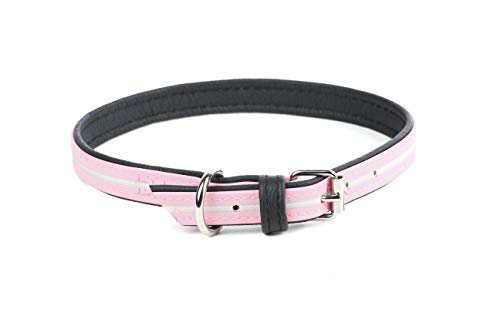 JULIUS K-9, 214HB-L-PN-70, IDC Lumino Halsband phosphoreszierend, 25mm x 70 cm, pink von JULIUS K-9